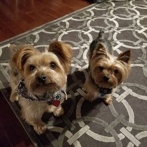 Meet your Posher, Bob